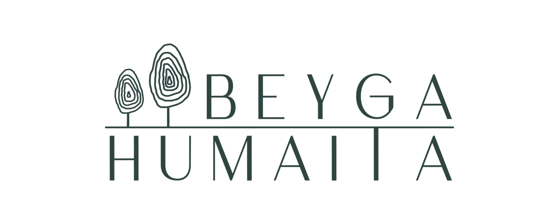 Grupo HZ logo beyga humaita - empresa de grupo hz