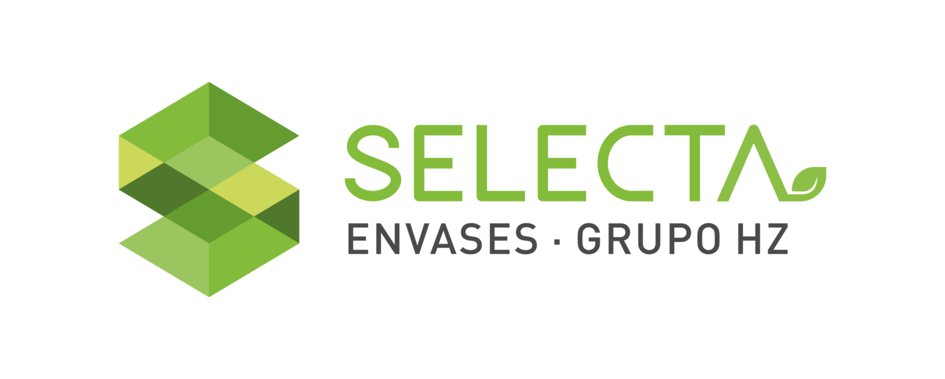 Grupo HZ logo selecta - empresa de grupo hz