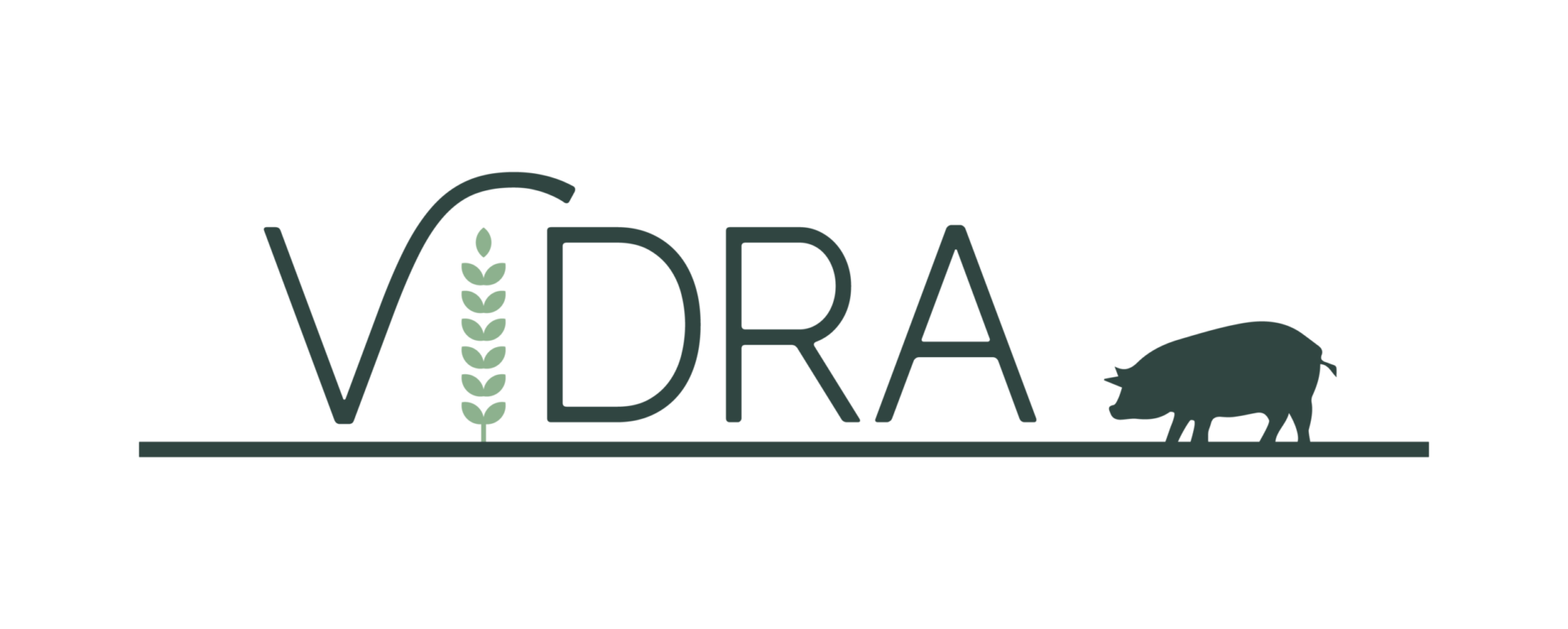 Grupo HZ logo vidra - empresa de grupo hz