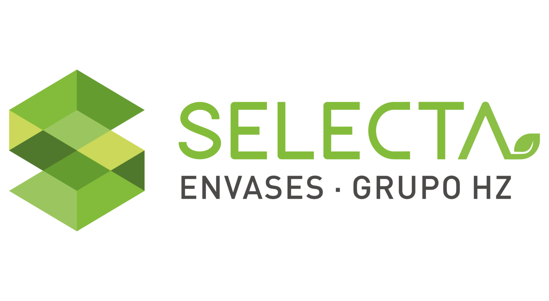 nuevo logo selecta 2025ok 05