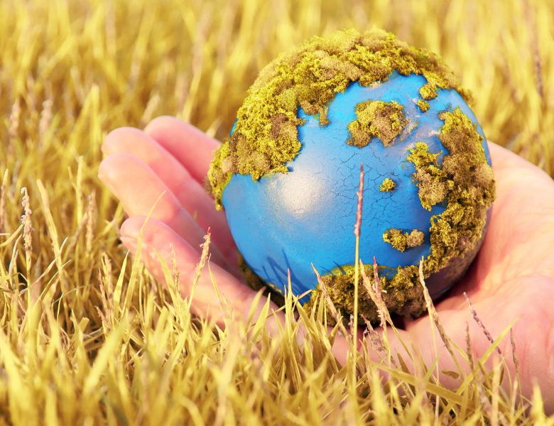 Política Medioambiental gstion ambiental 1