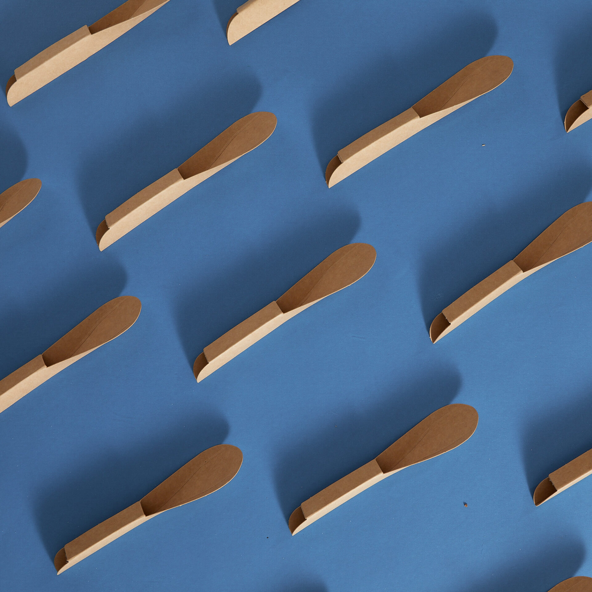 Casos de éxito cuchara de carton biohz biodegradable sustentable